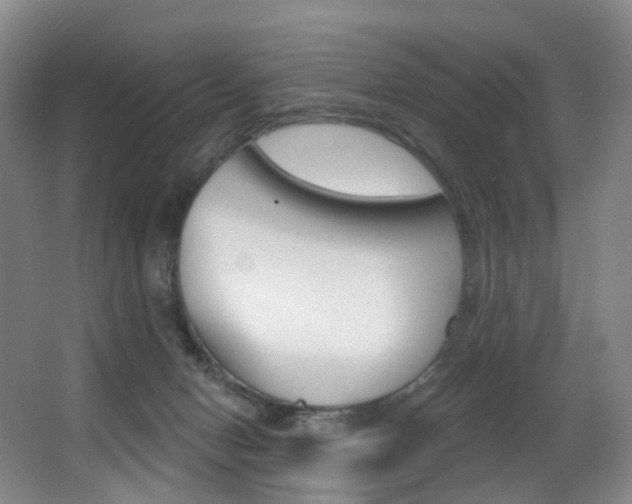 X0000062860078200601130959