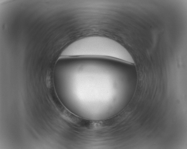 X0000062860080200601130959