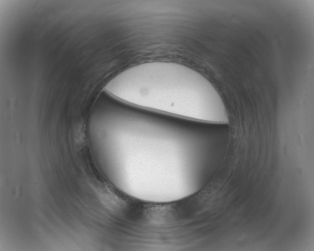 X0000062860081200601130959