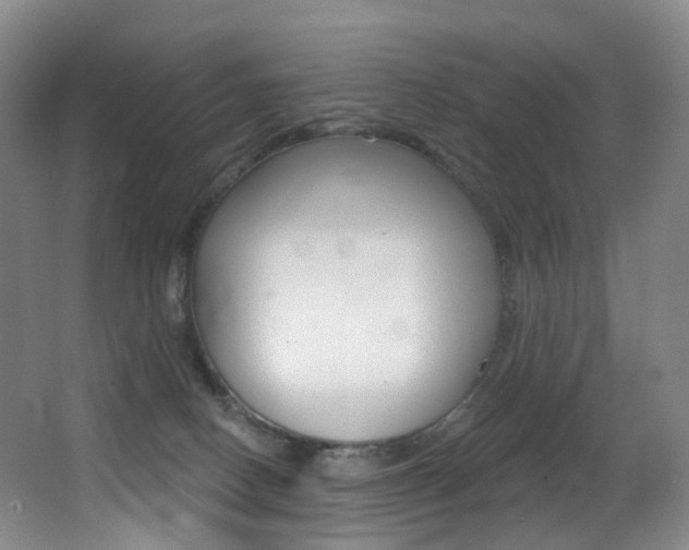 X0000062860082200601130959