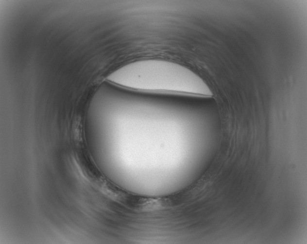 X0000062860083200601130959