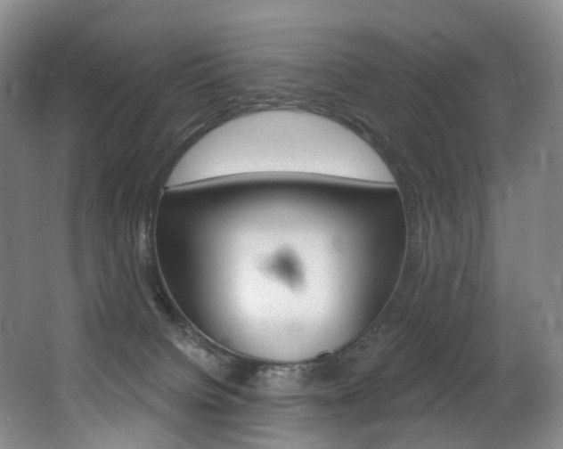 X0000062860084200601130959