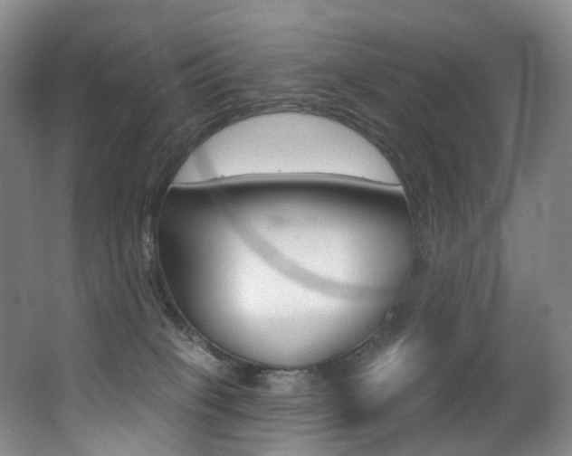 X0000062860085200601130959