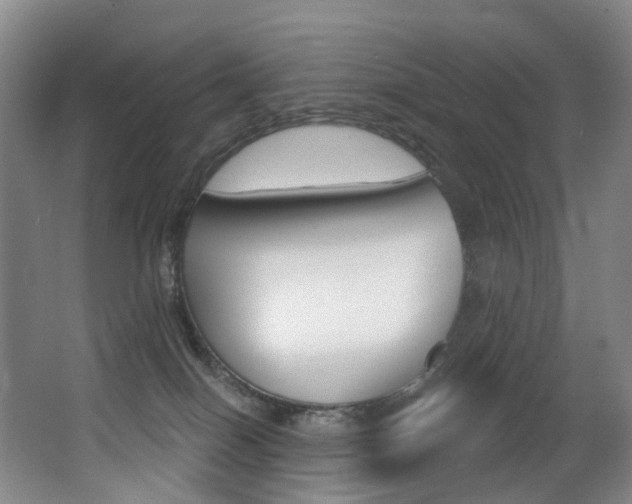 X0000062860086200601130959