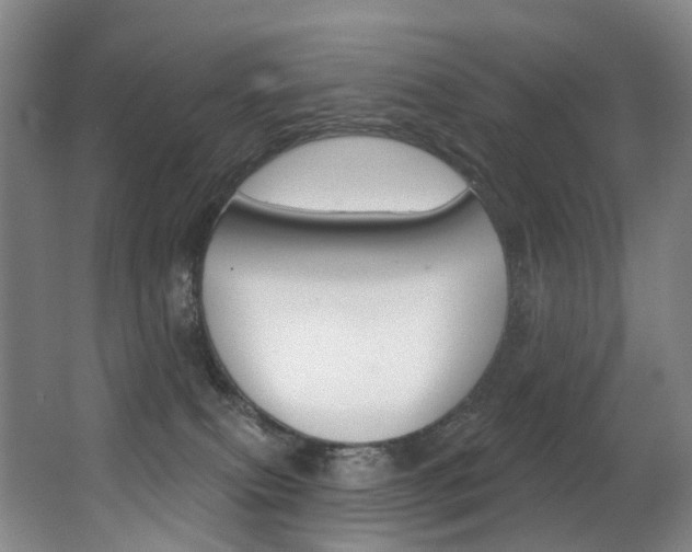 X0000062860087200601130959