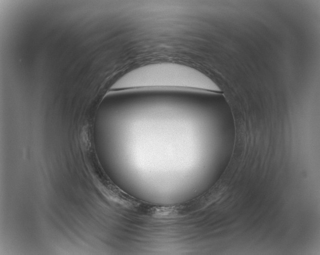 X0000062860088200601130959