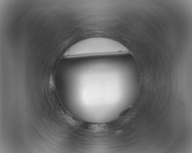 X0000062860089200601130959