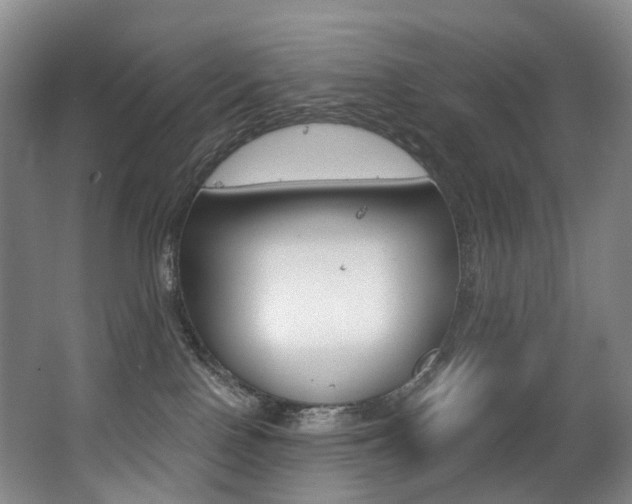 X0000062860090200601130959