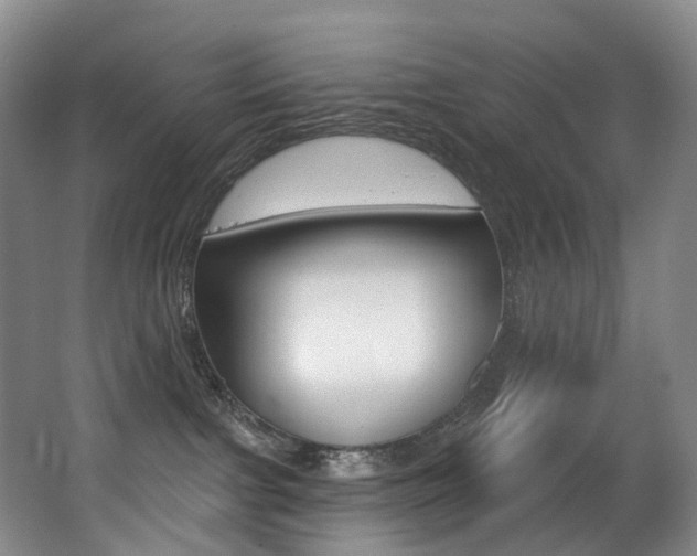X0000062860091200601130959