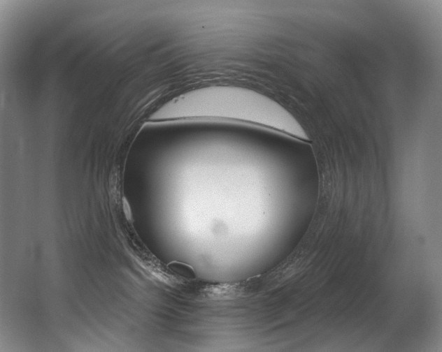 X0000062860092200601130959
