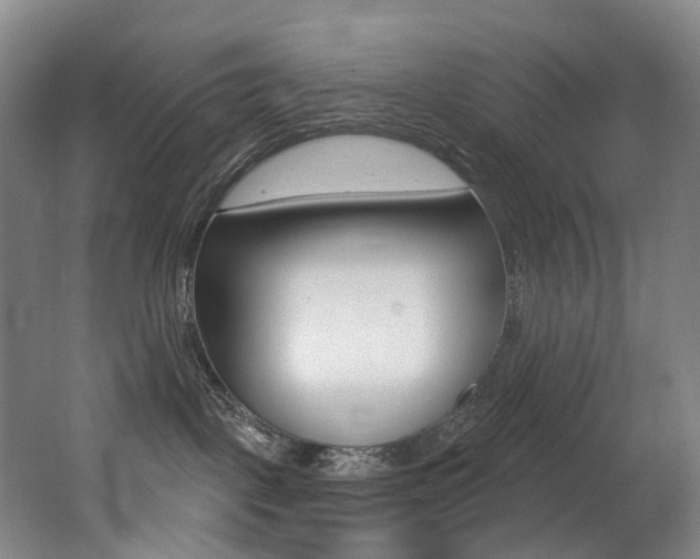 X0000062860093200601130959