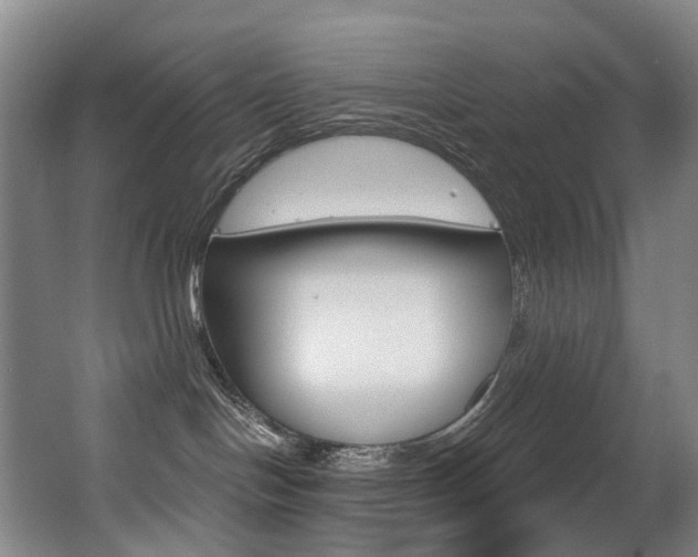 X0000062860094200601130959