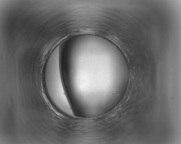 X0000062860097200601130958
