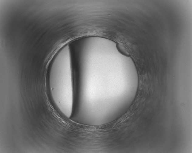 X0000062860098200601130958