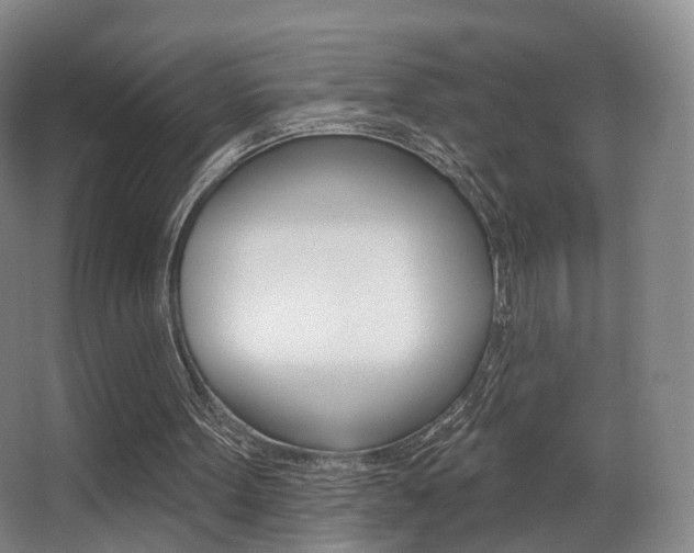 X0000062860099200601130958