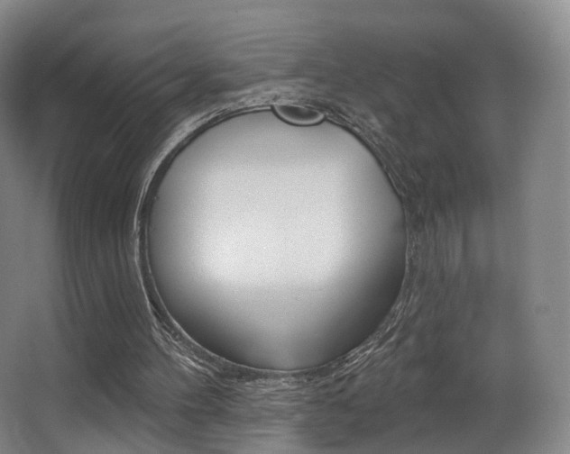 X0000062860100200601130958