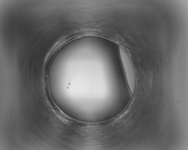 X0000062860101200601130958