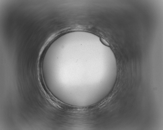 X0000062860102200601130958