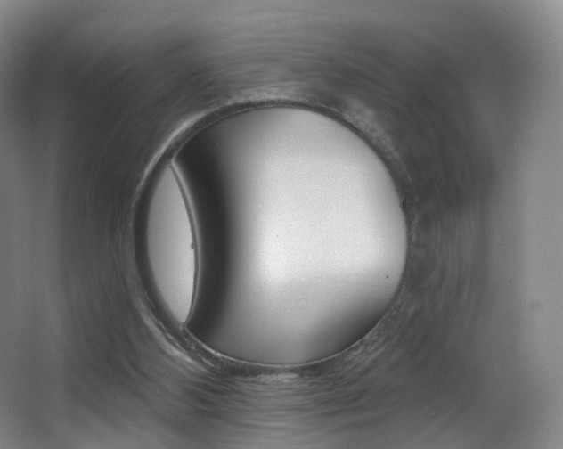X0000062860108200601130958