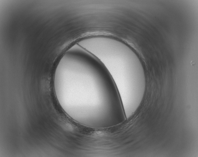 X0000062860111200601130958