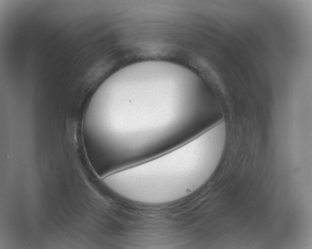 X0000062860115200601130958