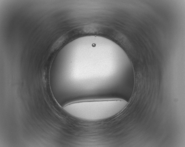 X0000062860116200601130958