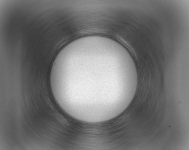 X0000062860117200601130958