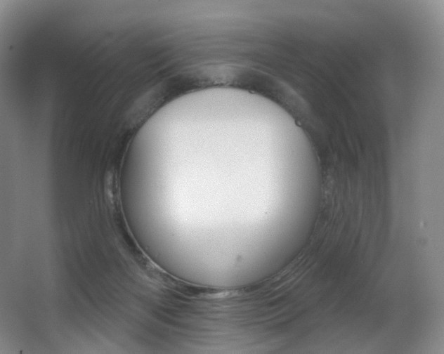 X0000062860122200601130958