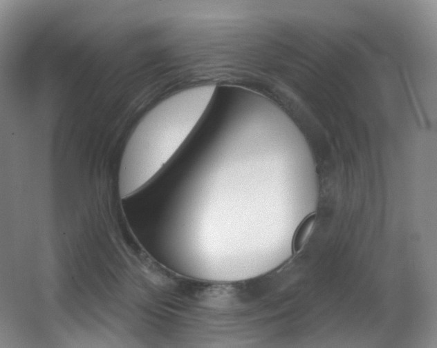 X0000062860124200601130958
