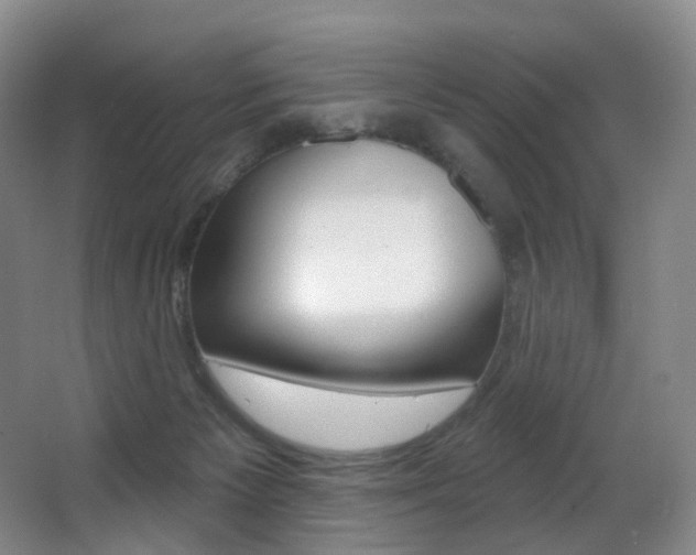 X0000062860125200601130958