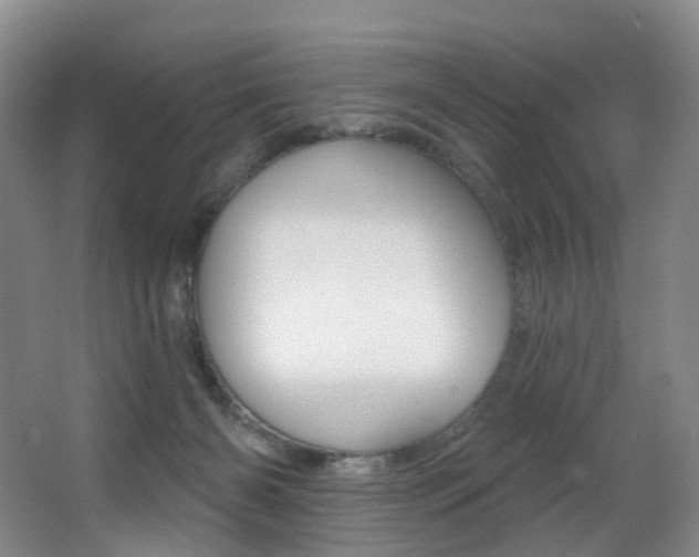 X0000062860126200601130958