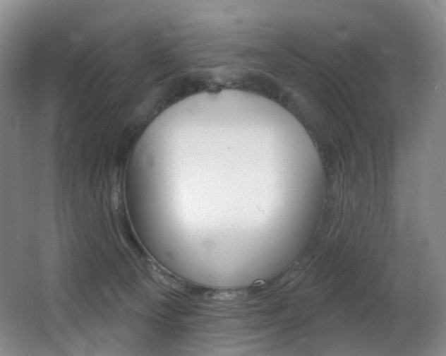X0000062860129200601130958