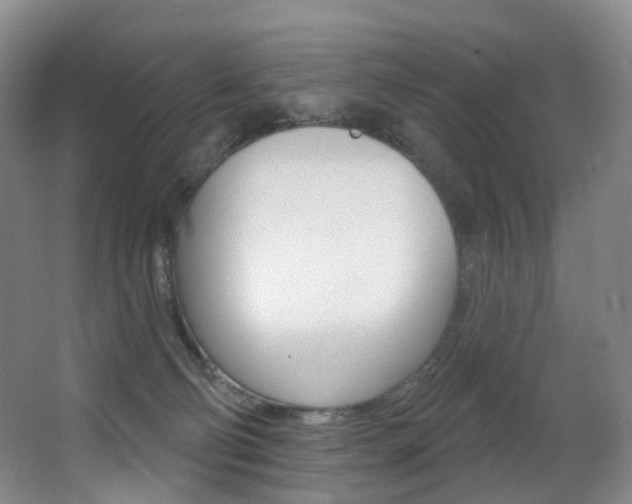X0000062860130200601130958