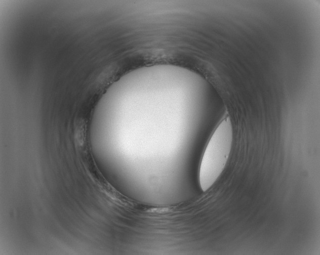 X0000062860133200601130958
