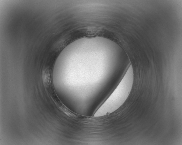 X0000062860137200601130958