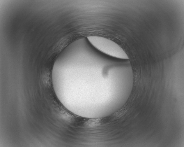 X0000062860138200601130958