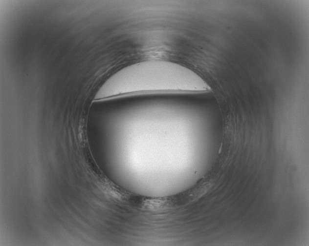 X0000062860139200601130958
