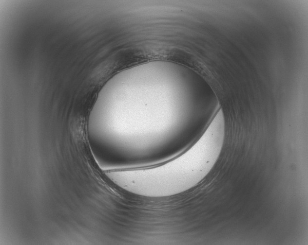 X0000062860141200601130958
