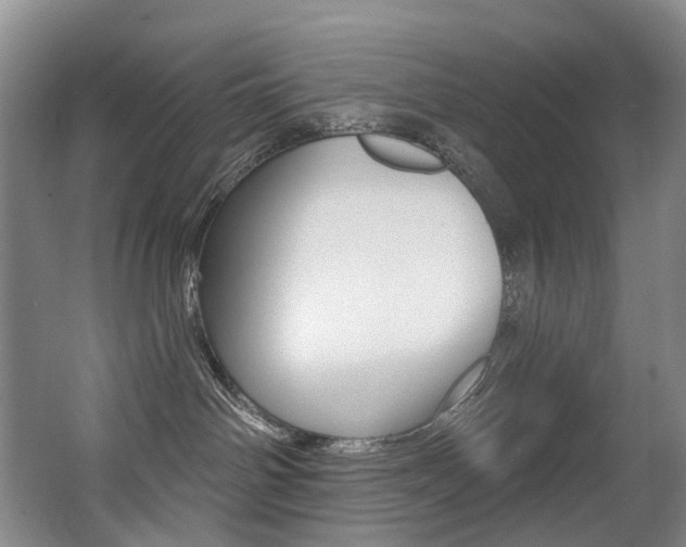 X0000062860142200601130958