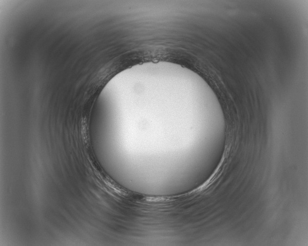 X0000062860144200601130958