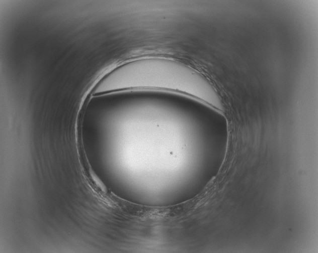 X0000062860148200601130957