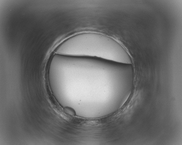 X0000062860151200601130957