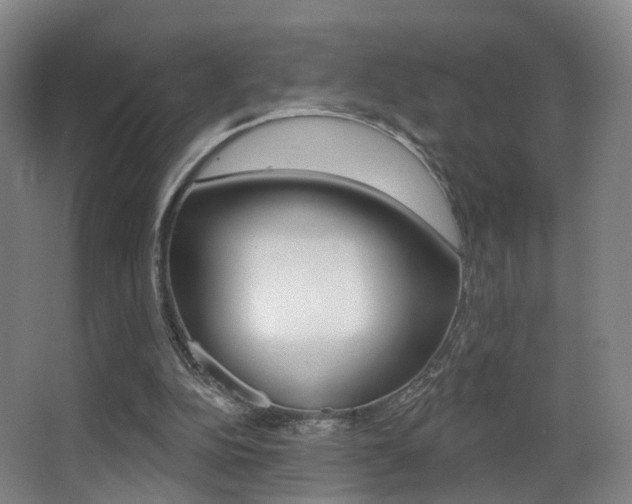 X0000062860152200601130957