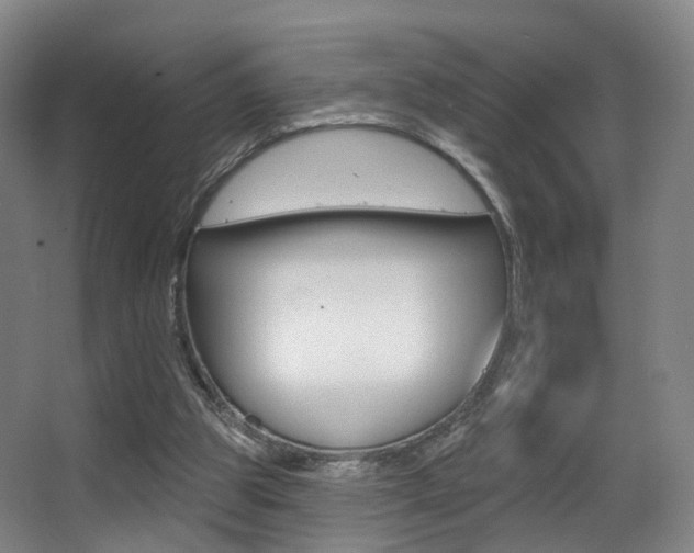 X0000062860153200601130957