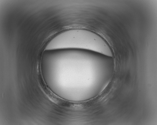 X0000062860157200601130957