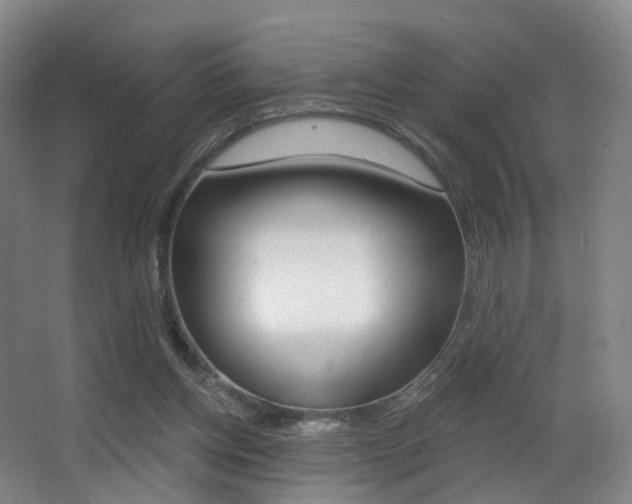 X0000062860158200601130957