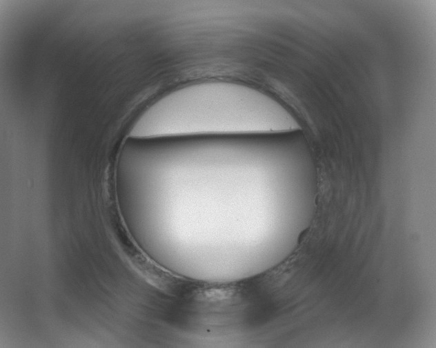 X0000062860163200601130957