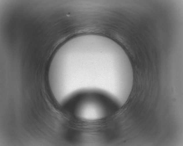 X0000062860164200601130957