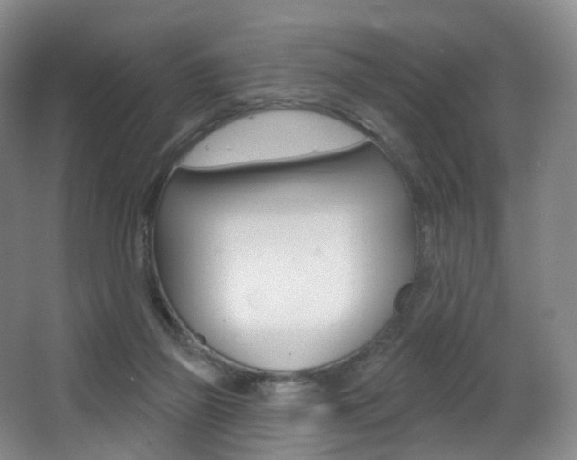 X0000062860165200601130957
