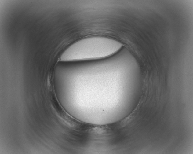 X0000062860166200601130957